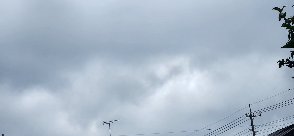 mmieprokobiti07's tweet photo. #いまそら
#イマソラ

今日はくもり☁️
最高気温は29度です
今日のお勧めは #４年2組 の #BeWild‼です
https://t.co/f1xT1y60A0 https://t.co/T4XVnOCdMp