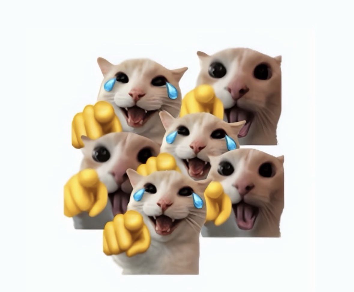 LiterallyMeCats tweet media