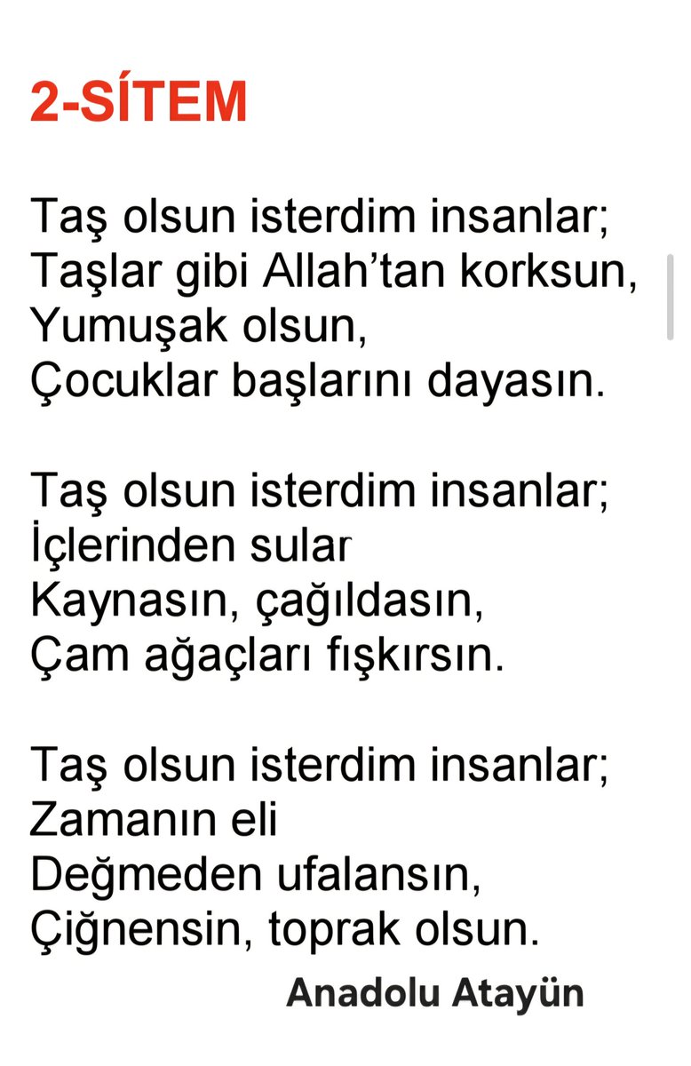 Birsen Atayun tweet media