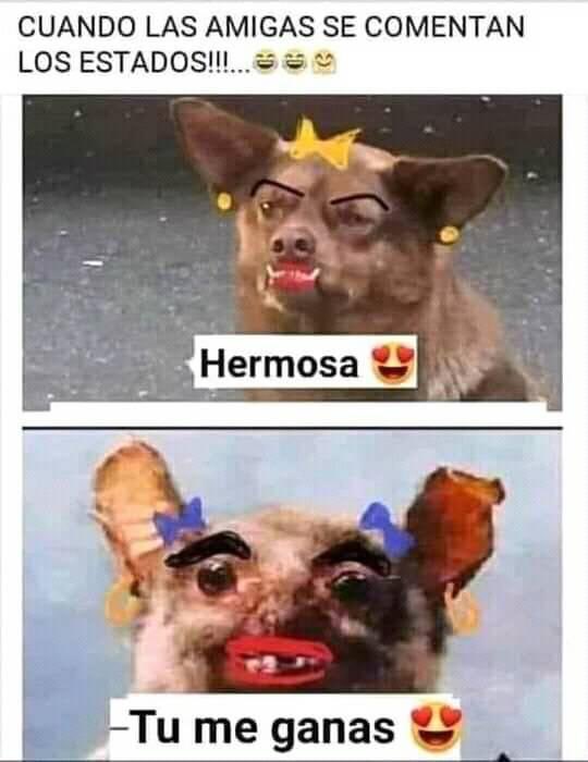 la bruja sin alma sigue volando tweet media