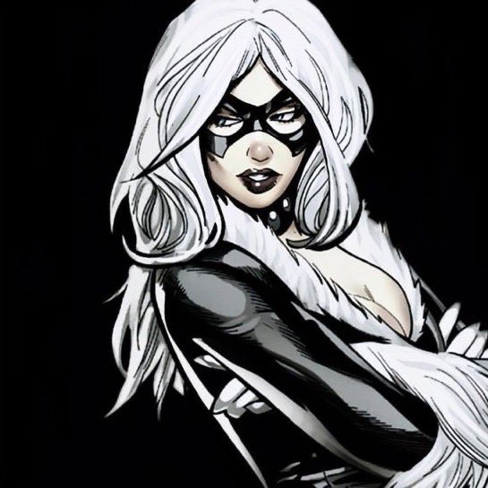 OnyxF3lin3's tweet photo. Felicia Hardy
The Black Cat https://t.co/9zenPAjqWk