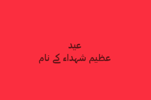 NISHAN - E - HAIDER tweet media