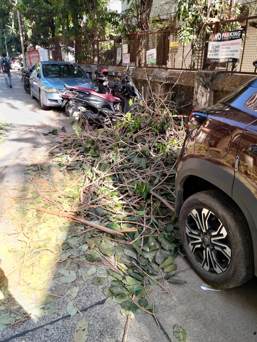 VaibhavPD's tweet photo. After trimming the tree and causing damage to society property, the mess of cut branches and leaves have been left like this. How do senior citizens, little kids and differently abled people walk thru this mess?  @mybmc @mybmcWardHW @TawdeRitu https://t.co/0pTee1VE6U