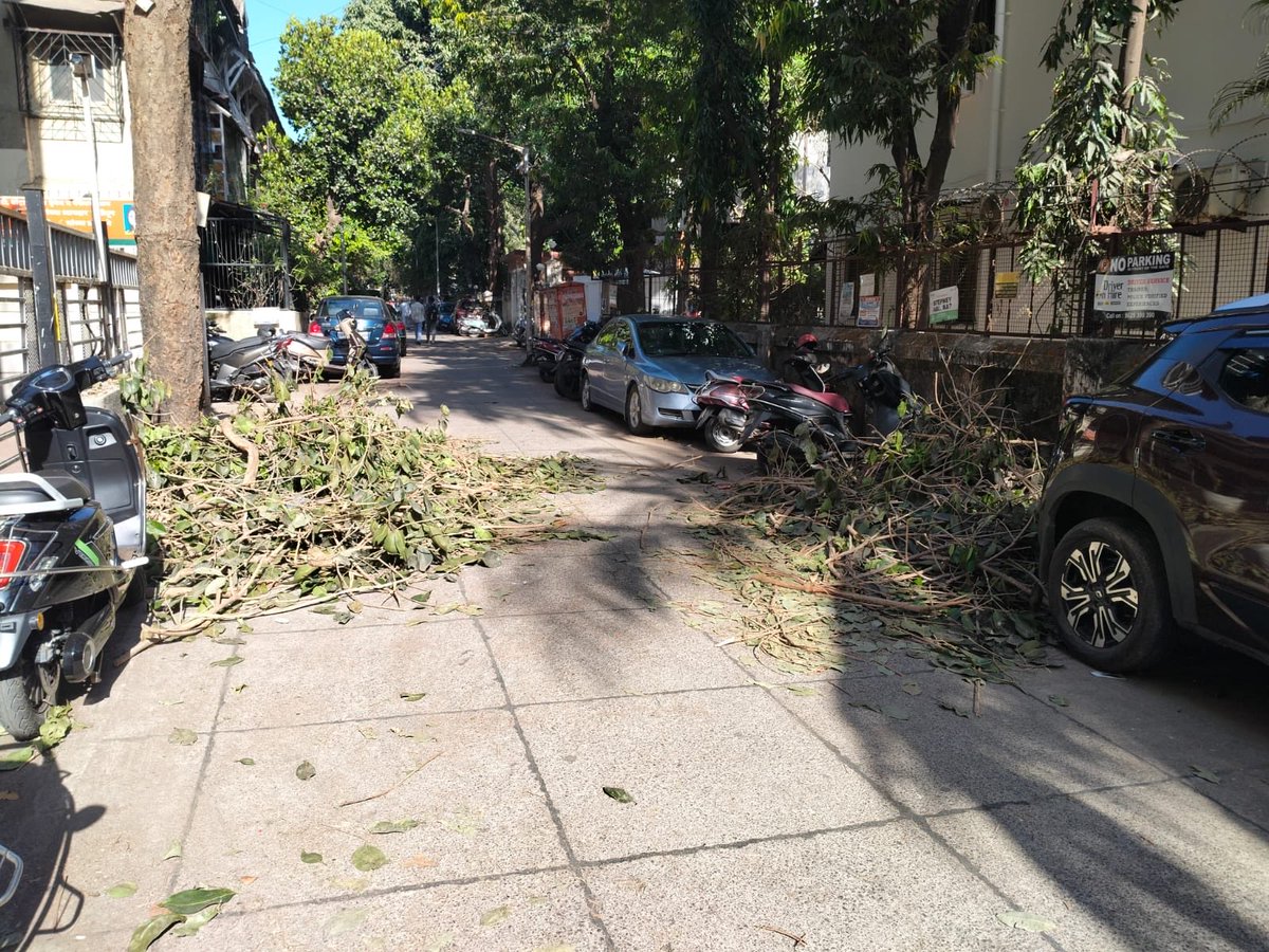 VaibhavPD's tweet photo. After trimming the tree and causing damage to society property, the mess of cut branches and leaves have been left like this. How do senior citizens, little kids and differently abled people walk thru this mess?  @mybmc @mybmcWardHW @TawdeRitu https://t.co/0pTee1VE6U