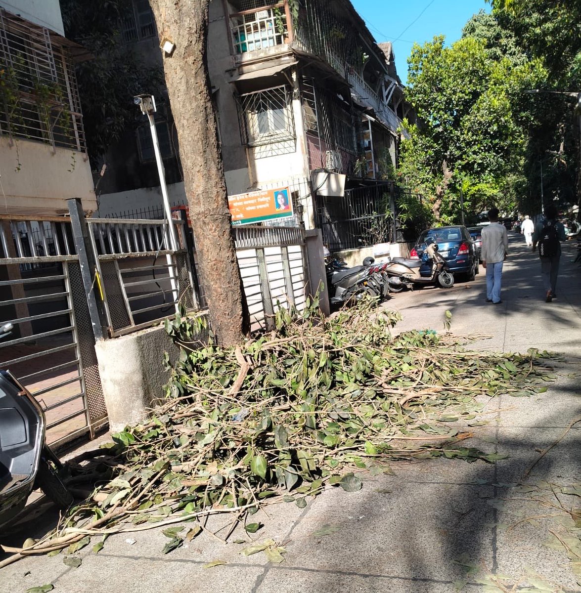 VaibhavPD's tweet photo. After trimming the tree and causing damage to society property, the mess of cut branches and leaves have been left like this. How do senior citizens, little kids and differently abled people walk thru this mess?  @mybmc @mybmcWardHW @TawdeRitu https://t.co/0pTee1VE6U