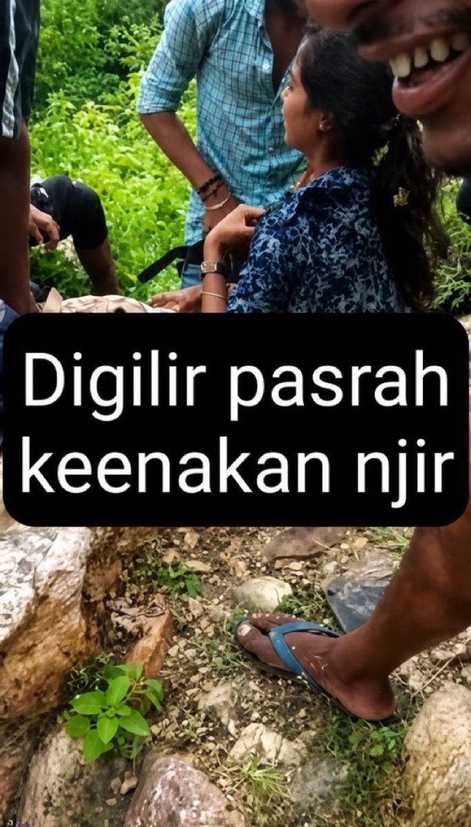 sukasukadah tweet media