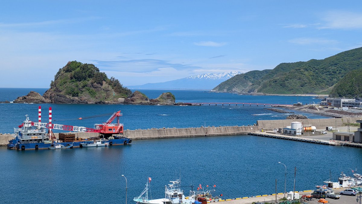 gull0625's tweet photo. 会社敷地内に…🐻出た。
※写真は由良…🐻とは関係ありません。 https://t.co/ir73NN1pId