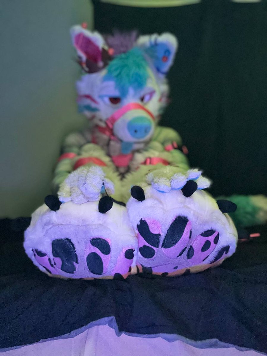 tolfzilla's tweet photo. I Heard you like paws ;3 why not come rub my paws for a bit~

#fursuit #paws #tigerwolf #harness https://t.co/EZ7P9ZCxJI