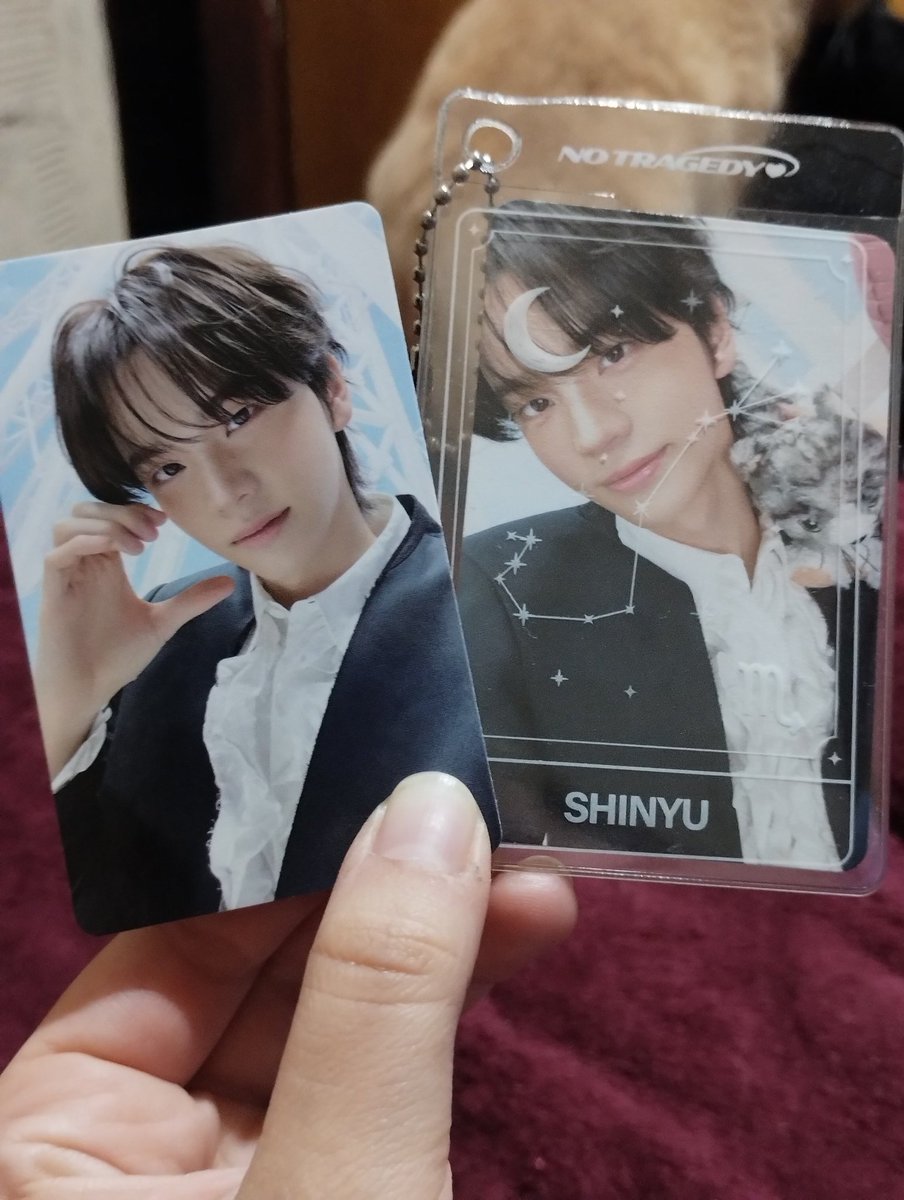 softsw_'s tweet photo. Hyung Del Año y me di cuenta que los gatos estaban siendo maricones de fondo grachias (gracias angie y bel❤️) https://t.co/KY5g8OJHvA