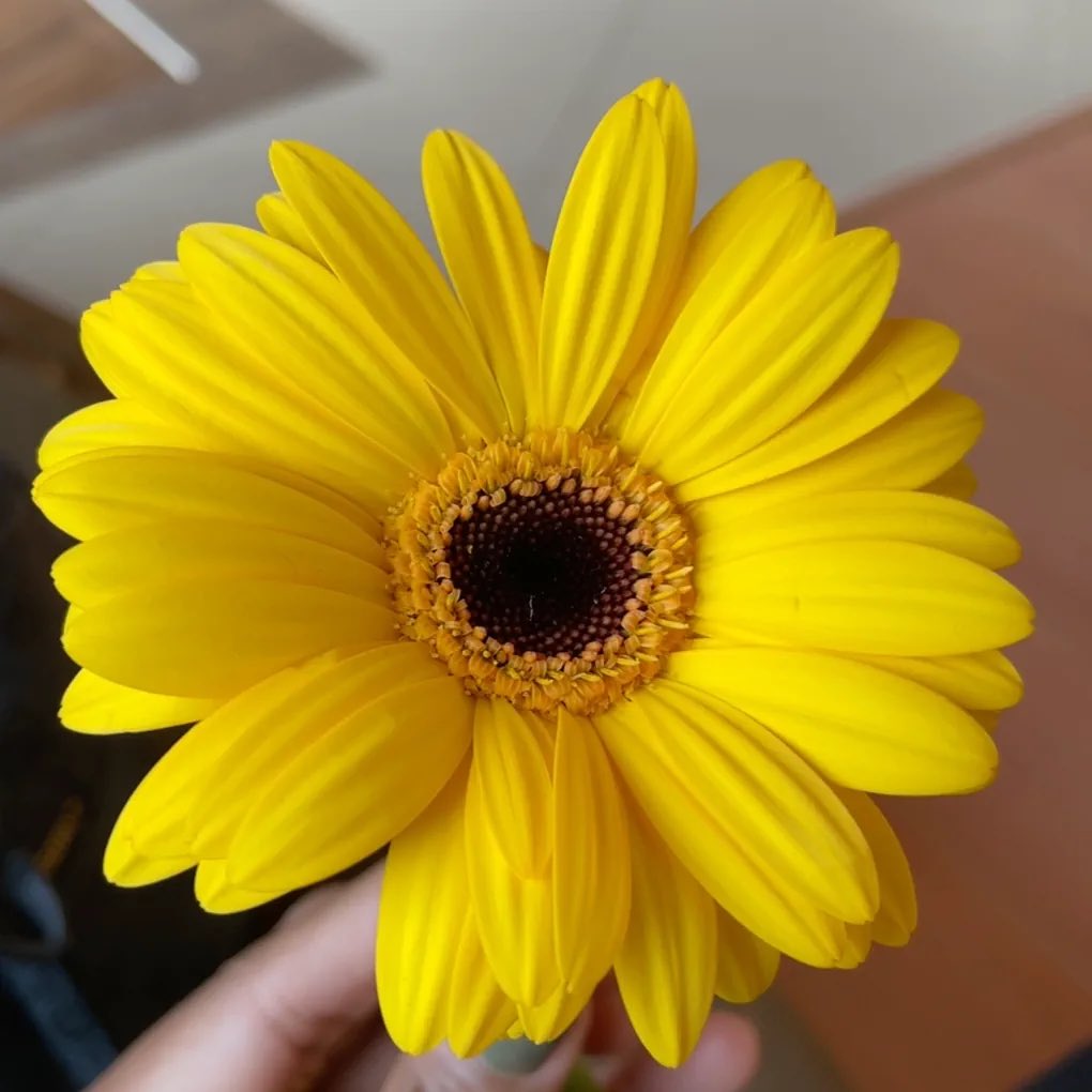 Fomd_1's tweet photo. عيد سعيد ✨ https://t.co/xPE4VOHU4h