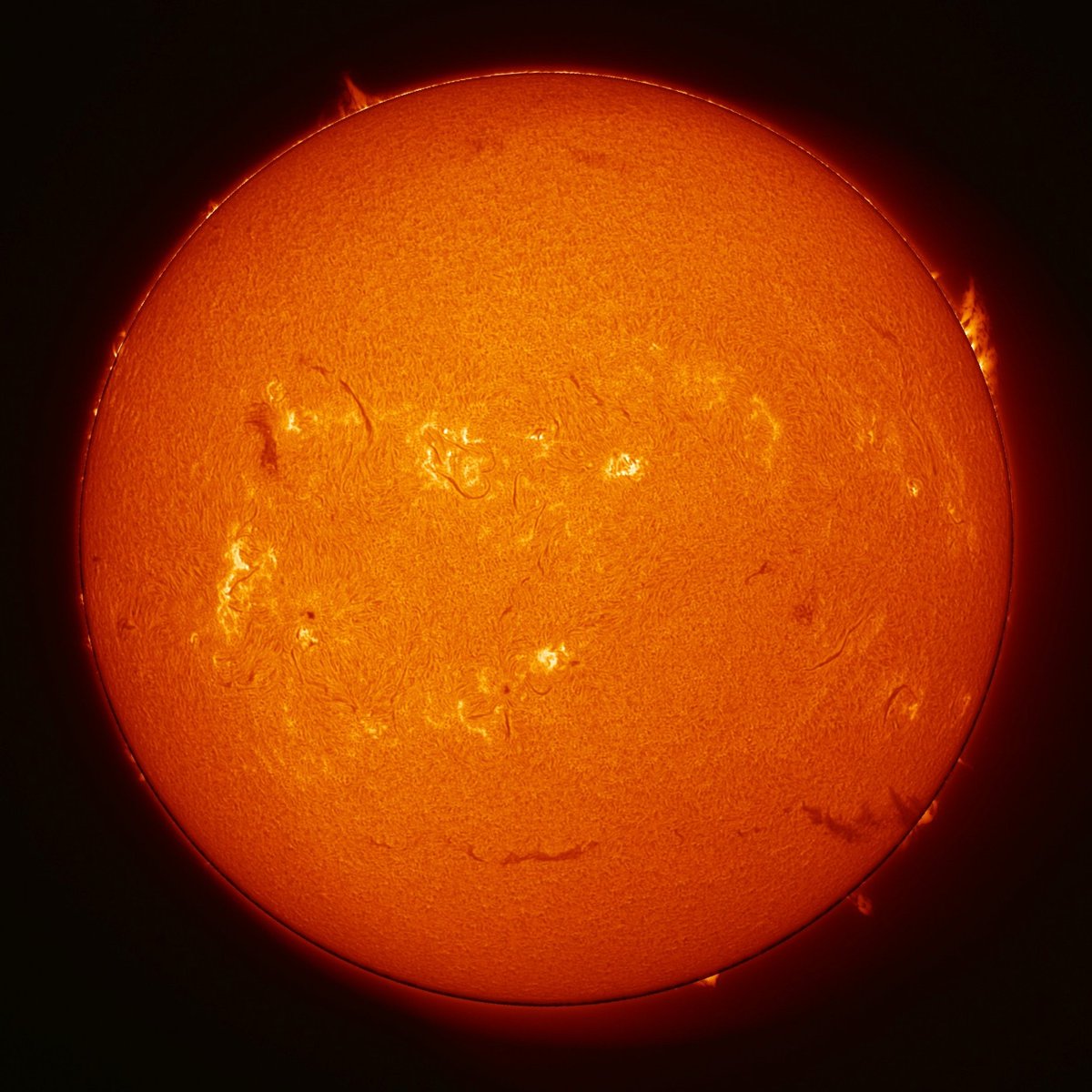 RikenTenmon's tweet photo. #Sun Hα

🔭 Phoenix, live-stacked for 20sec
📷 May 27, 2026  11:36 (JST)

#太陽 https://t.co/AZAVilrBrB