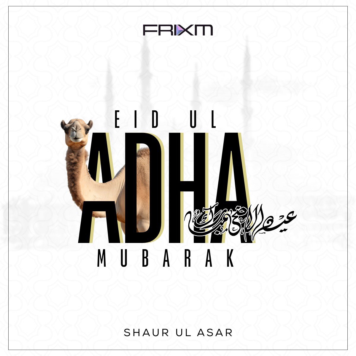 shaurasar's tweet photo. Eid Mubarak! 🐐 Let’s sacrifice ego, greed, and the last piece of BBQ for the guests. 😄 https://t.co/TD37YC1KtW
