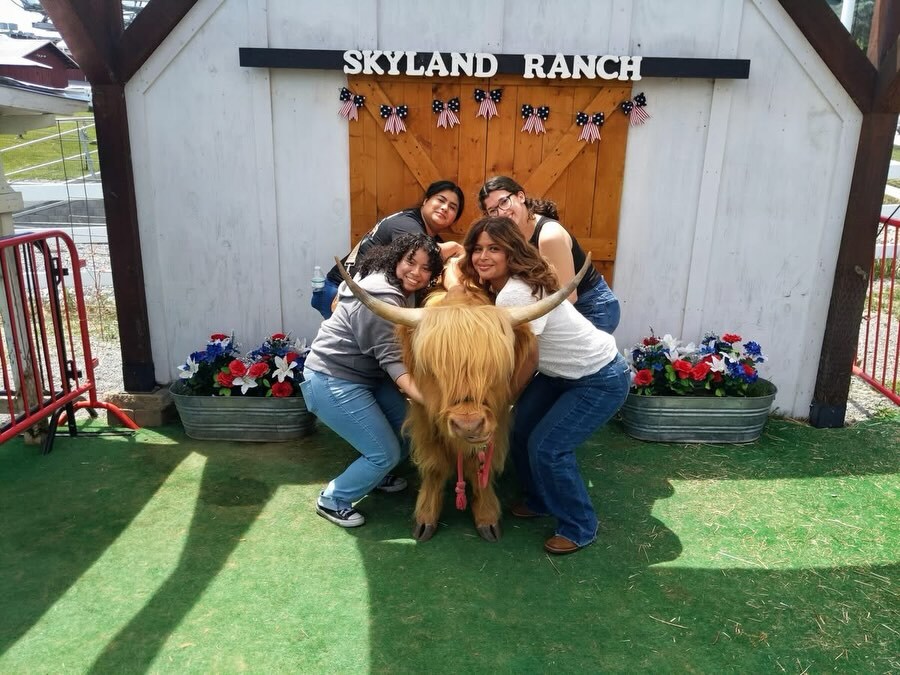 SevierFun's tweet photo. Fancy a meet and greet with this cutie? Stop by @skyland.ranch to meet Dozer and the whole crew! https://t.co/6ksDRSFmnT https://t.co/C7UAjM3kiL