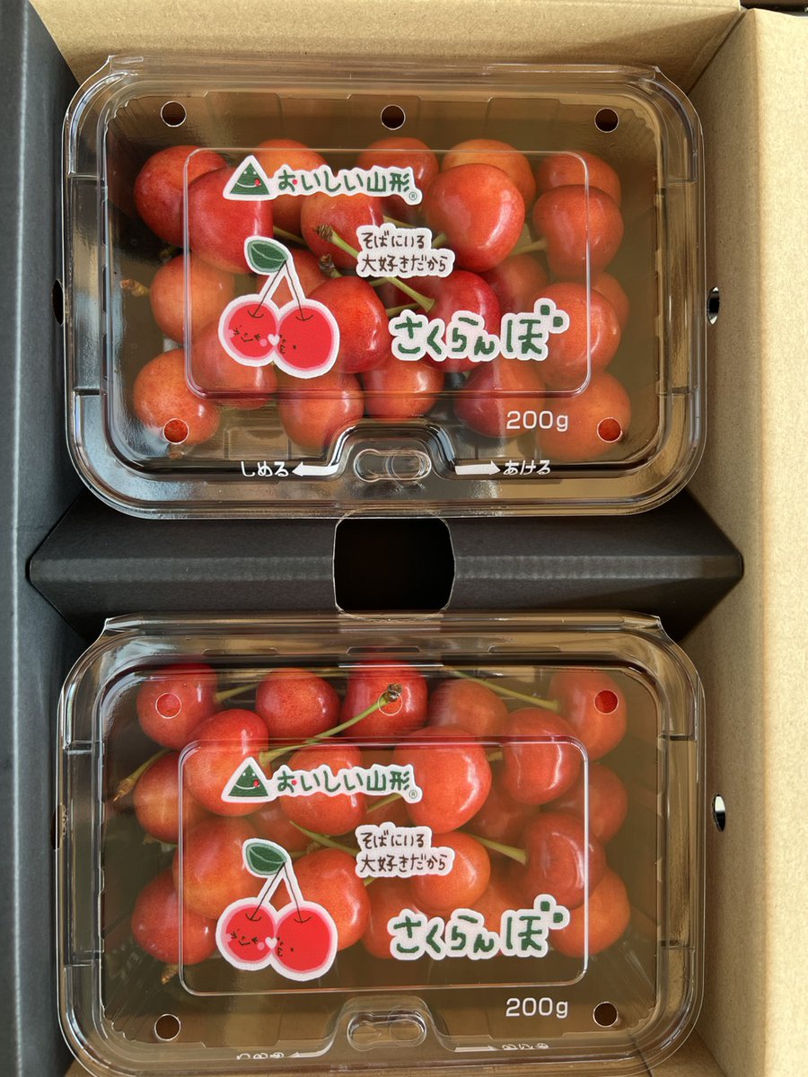 🍒サクランボの王様【佐藤錦】産地直送受付スタート🍒 「酒のやまや