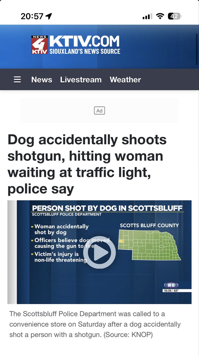 The Dog Saint tweet media