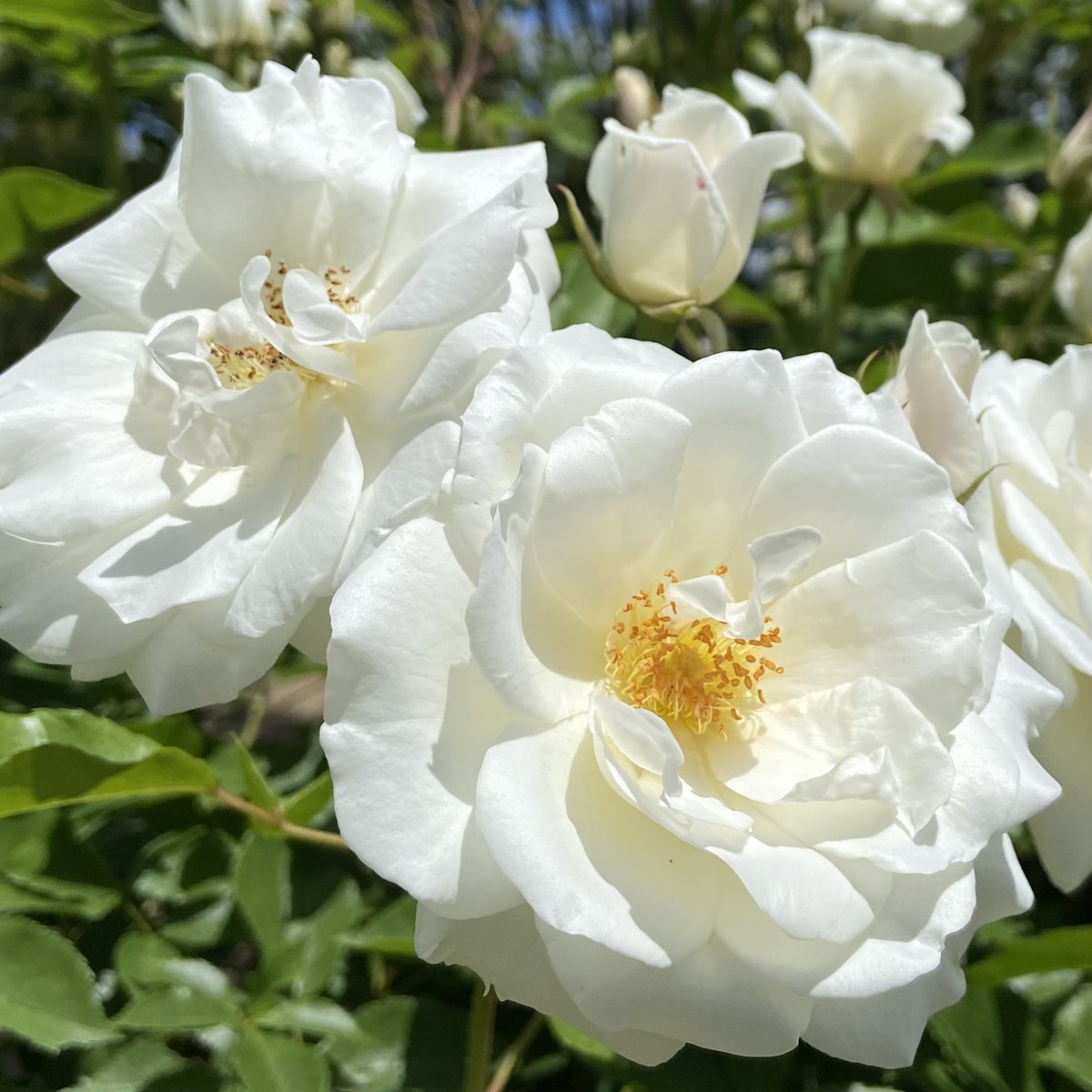 Tanji_Tweet's tweet photo. https://t.co/bx05Yii0y2