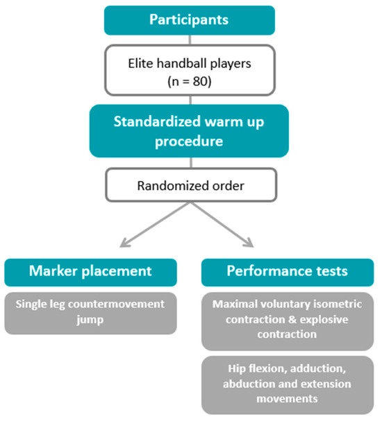 Applsci's tweet photo. 📢 #highlycited paper
📚 Relationship Between Single-Leg #Countermovement #JumpHeight, Technique, and #HipStrength in #EliteHandballPlayers
🔗 https://t.co/DvHwSDhBjv
👨🔬 by Darjan Spudić et al.
🏫 University of Ljubljana/University of Primorska/Ludwig Boltzmann Institute for Rehabilitation Research
#RFD #jumpperformance