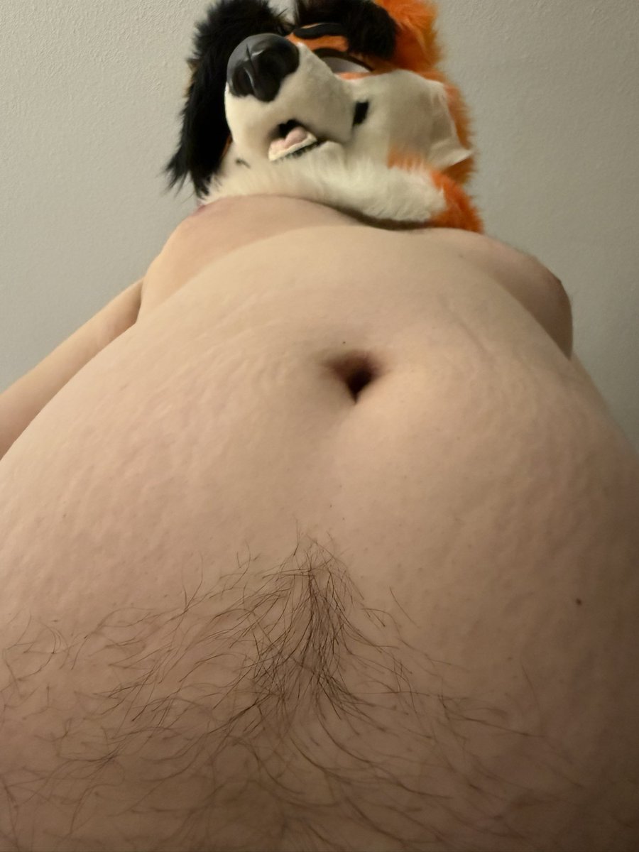 FoxxyFloof's tweet photo. Fuck it, we doing late night #TummyTuesday posting https://t.co/aZ2Uzu8Wqt