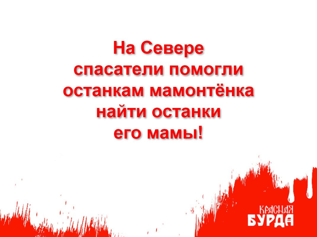 redburda's tweet photo. https://t.co/e5nVAbJUpd