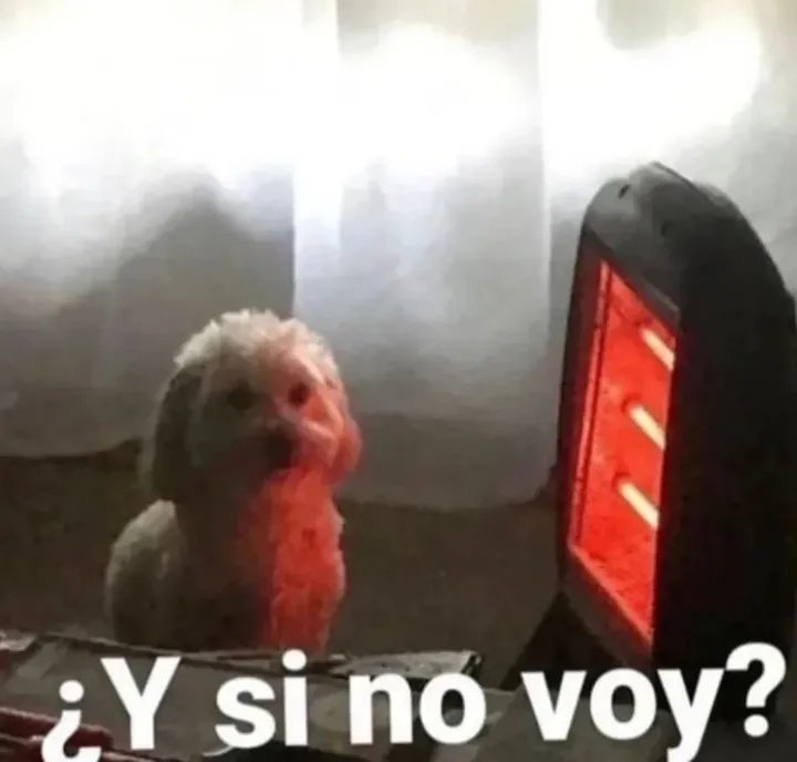 Quilombola tweet media