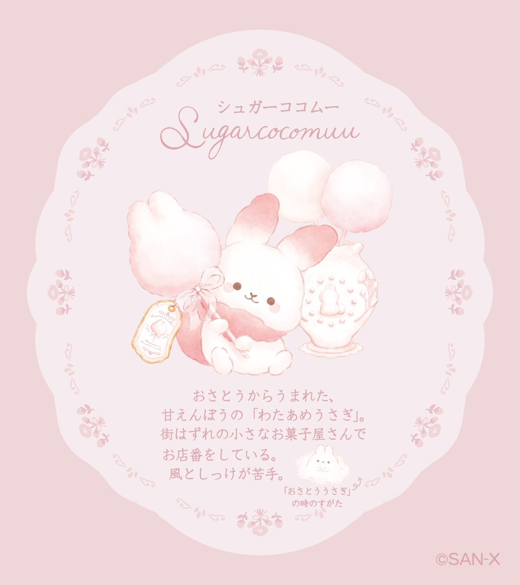 DNプロフィール見てねーページ ねーねー1月号臨時増刊 あ・ね～ね～ おかえり平成女児！大人になって