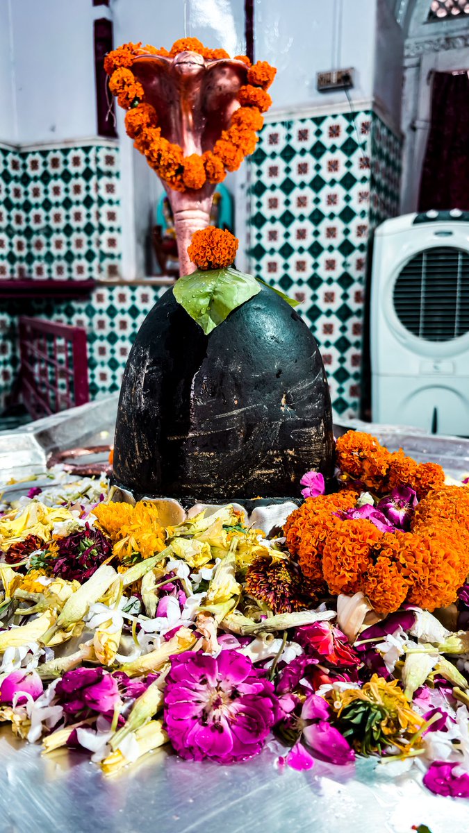 ashishd30's tweet photo. महादेव 🙏🏻 https://t.co/VnihJizyl4