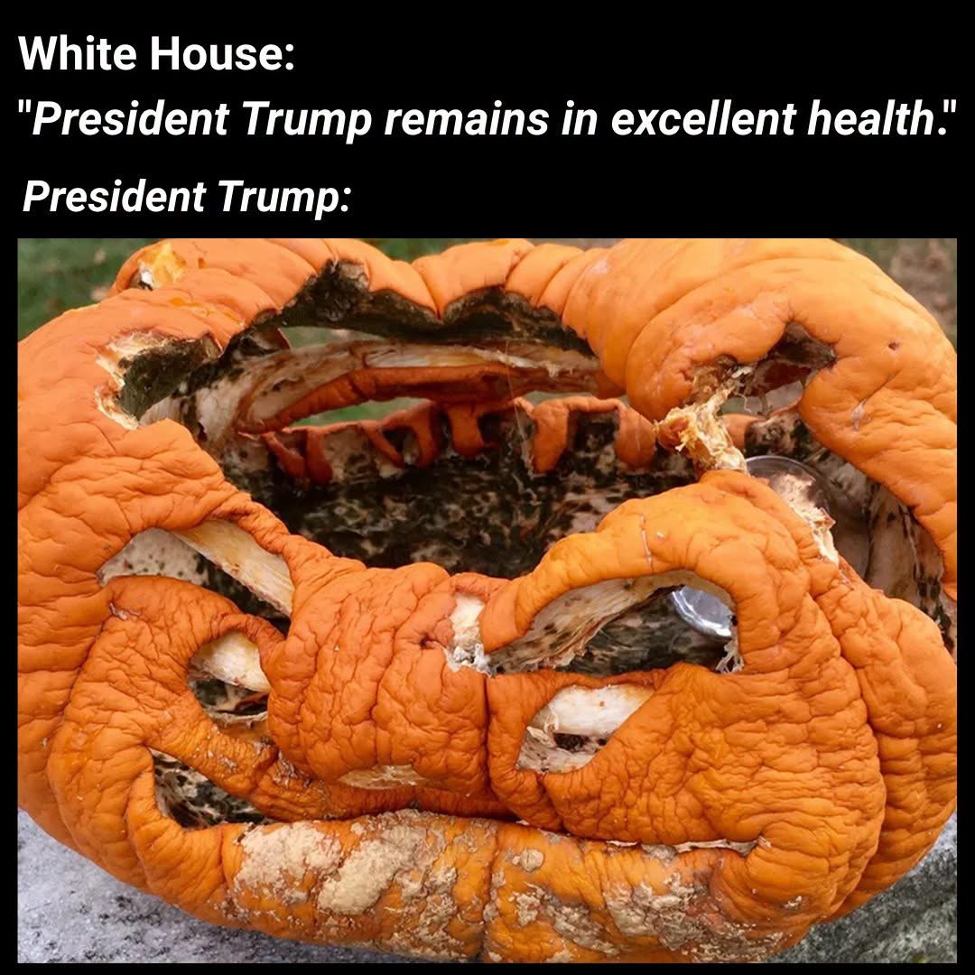 KitPickles's tweet photo. Accurate. https://t.co/XWj9ksW8hY