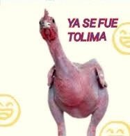 sandroxis265's tweet photo. @OC_Libertadores https://t.co/odP7T3RiAe