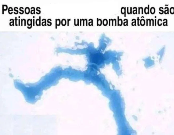 Página Séria. tweet media