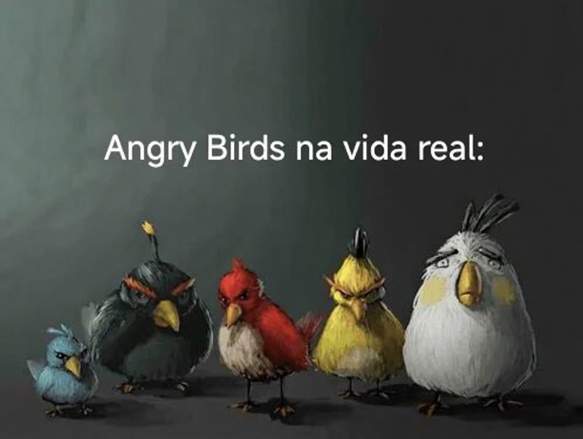 Página Séria. tweet media