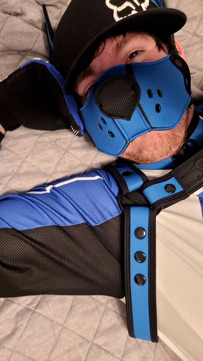 🔞🏳️‍🌈 Pup Diggs 🐶🦴 tweet media
