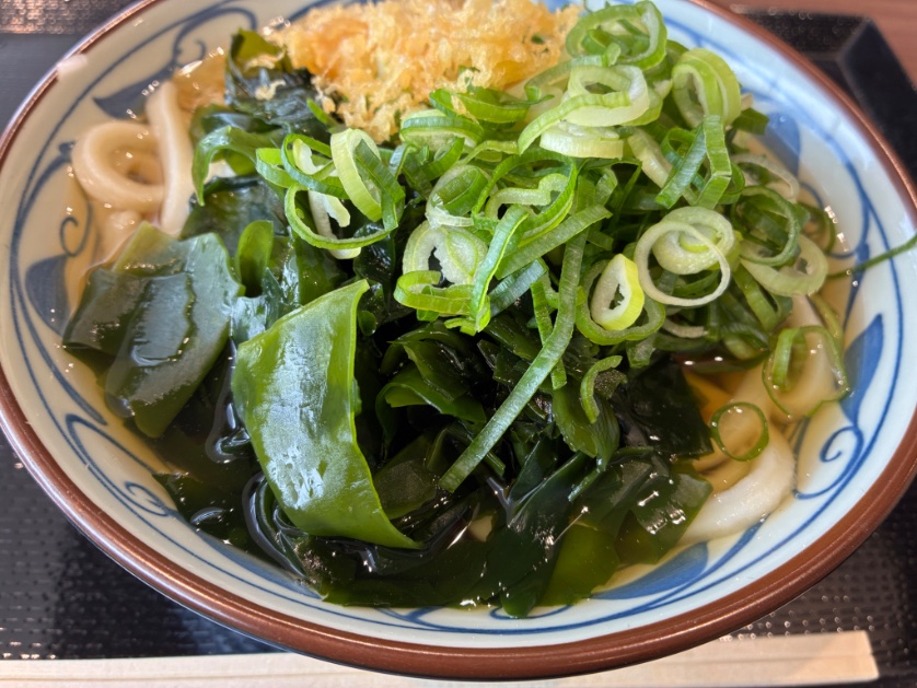 無事買えましたー！🍜🐇 （かけうどん大）
