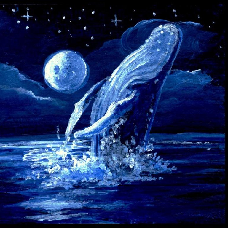 wenoboop's tweet photo. 🧵- &amp;team as sea animals a #thread 𓆝 ⋆. https://t.co/JuQihlWIm9