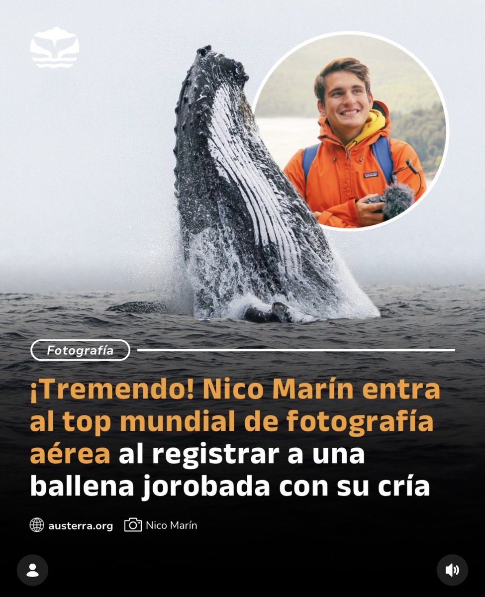 N I C O tweet media