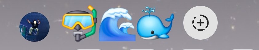 🌊🐳🐳🌊 tweet media