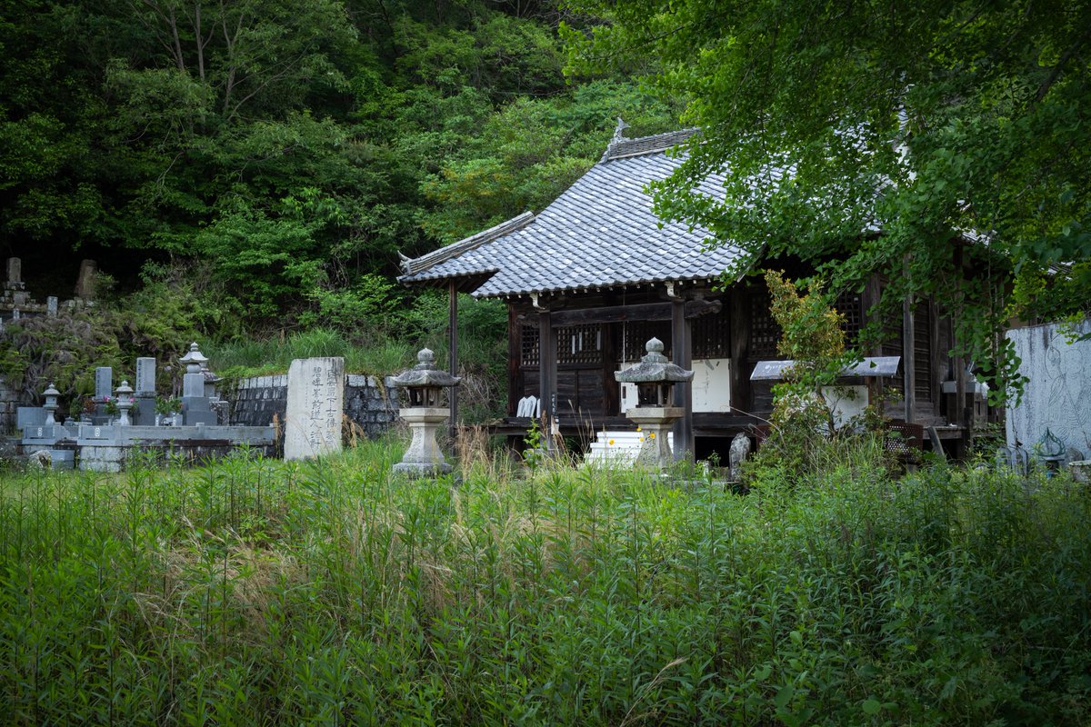 JIYUKENKYU_jp's tweet photo. 「木造の霊柩車が放置されている荒れ寺がある」、と言うのを知って見てきた。

荒れ寺とされる割にはお墓は綺麗だし寺も立派だなと思ったら10年前に住職が不在となり、山にあった墓地を建て替えて、有志で管理しているらしい。

…と、たまたまお参り来ていた地元のお婆さんに教えてもらったので「という事はこの霊柩車も地域で使われてたんですか？」と尋ねてみたら「いや、これは住職が趣味で集めていた」という意外な真実が明かされた。

住職は変わり者だったらしい