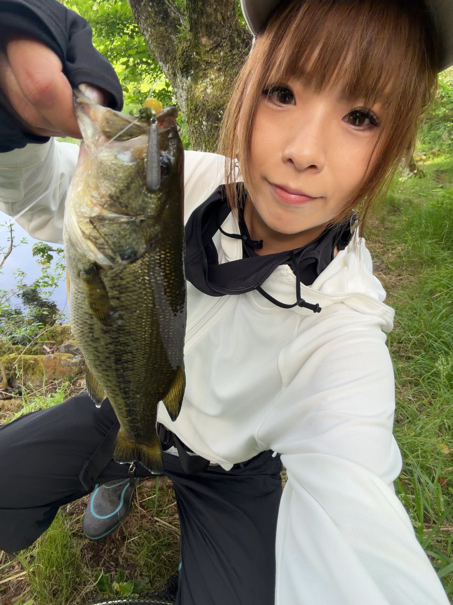 あーちゃん (@ayachibita) / Posts / X