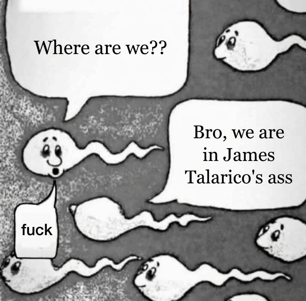 P A N D A M A X X E R tweet media