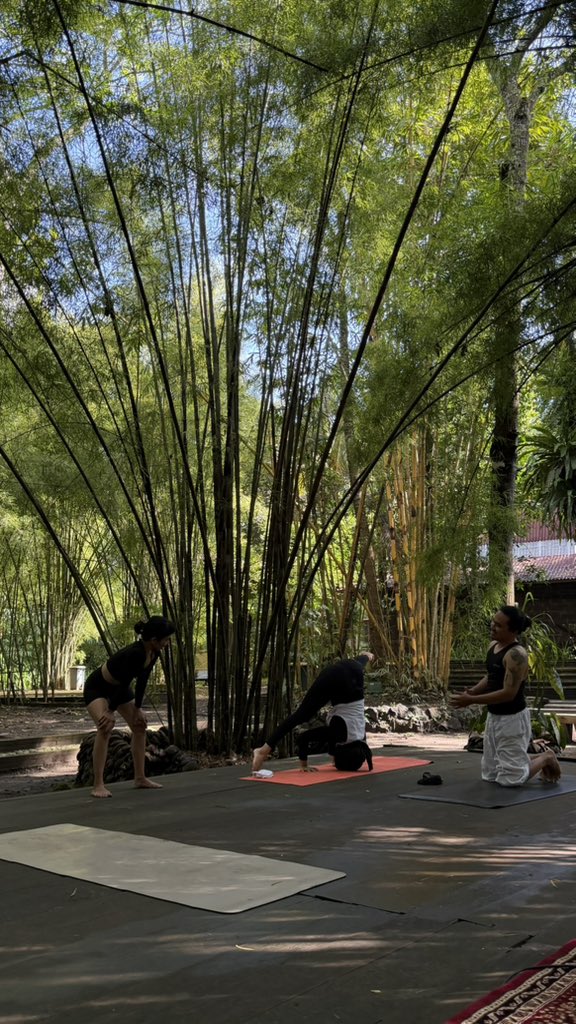 t_zooeee's tweet photo. 🧘🏻‍♀️🍃 https://t.co/4Y3dV5JWGR
