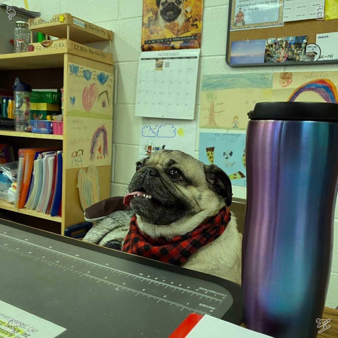 ho11ypatterson's tweet photo. Be the reason someone smiles today.
Striped socks inside the room https://t.co/XGcmA9OmuJ