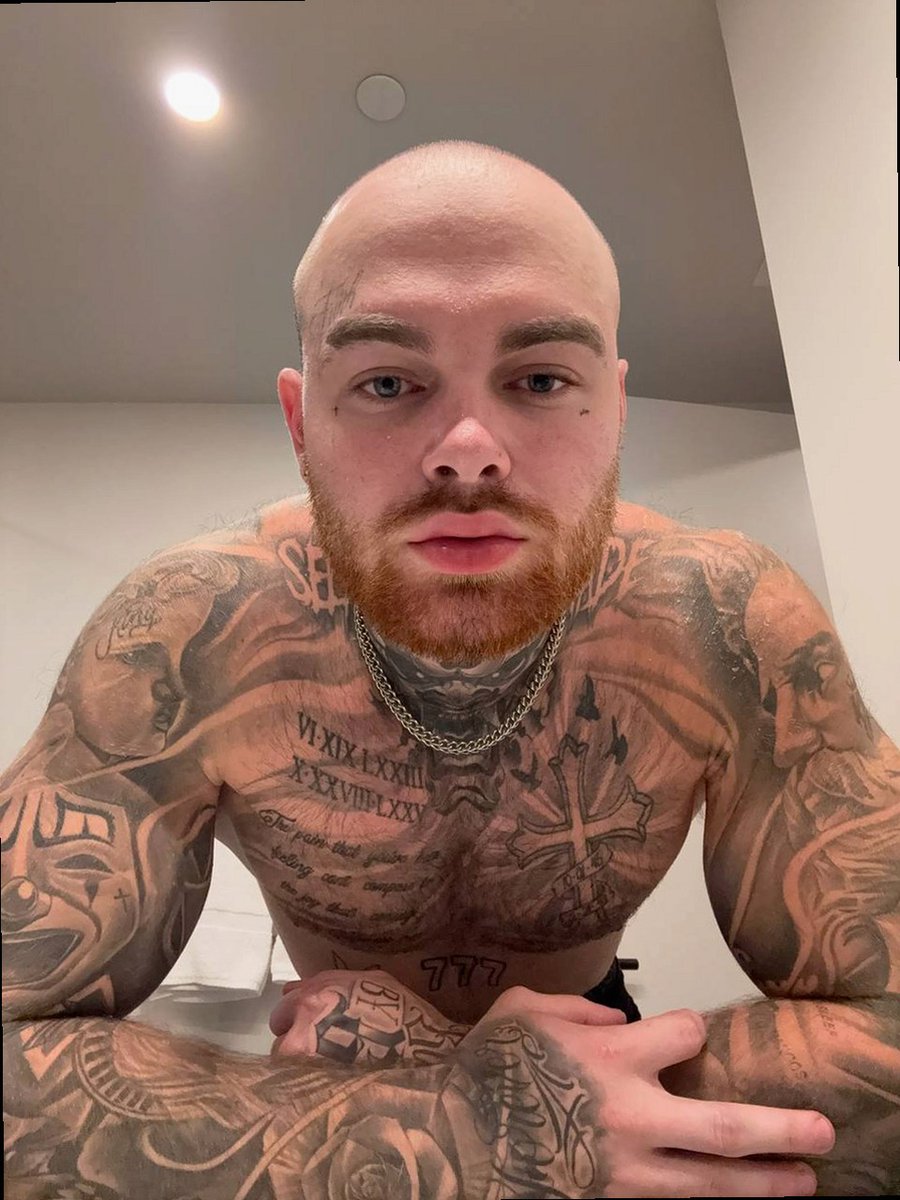 Brad tweet media
