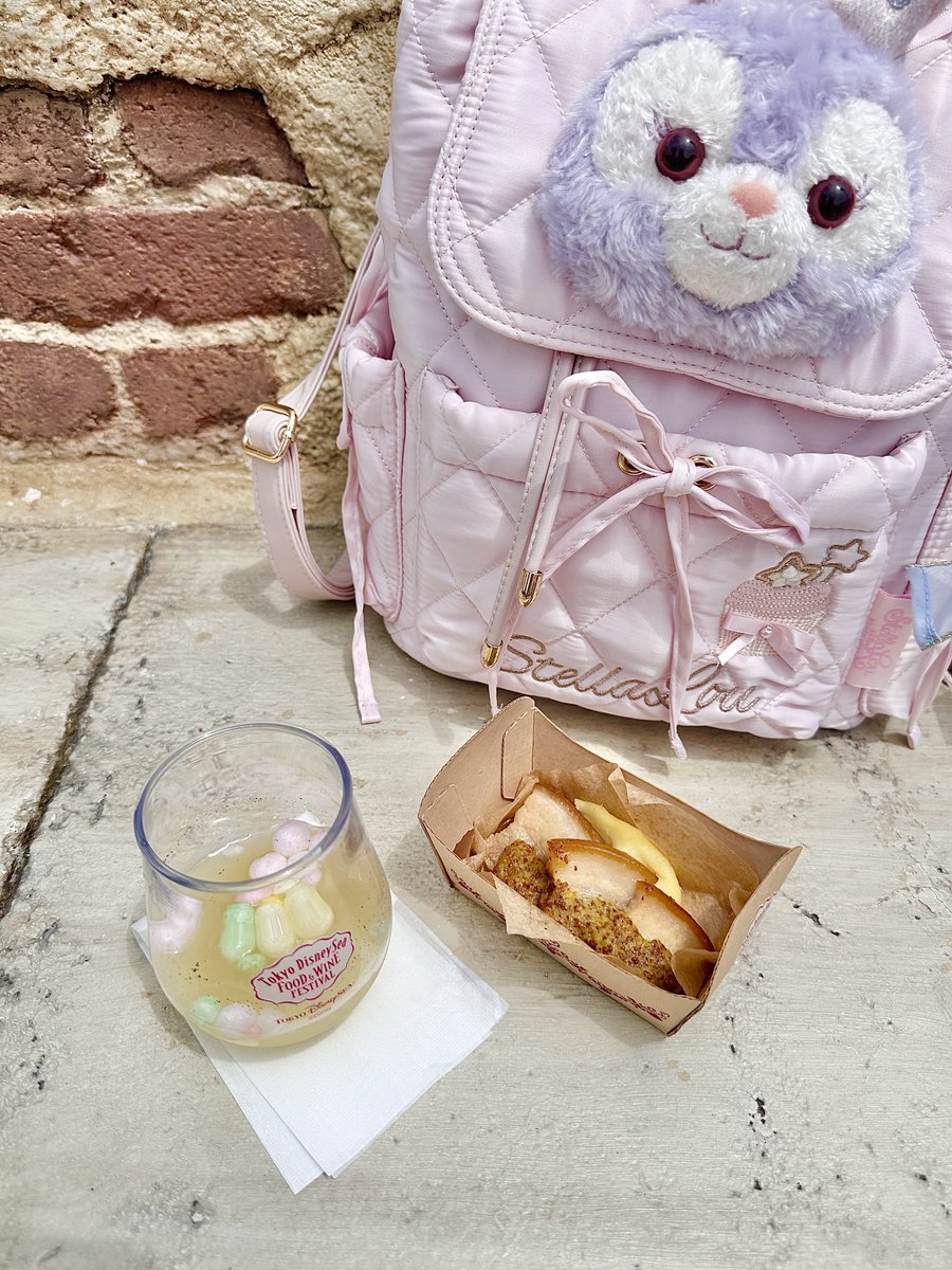 🎀ステラ・ヌー🐰🩰🎀 (@stella_nuuu) / Posts / X