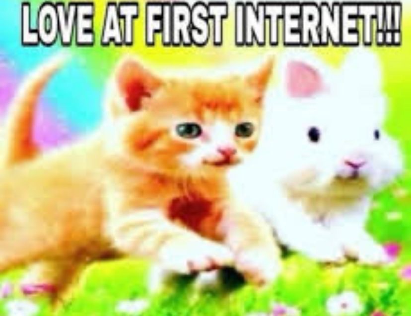 mimi tweet media