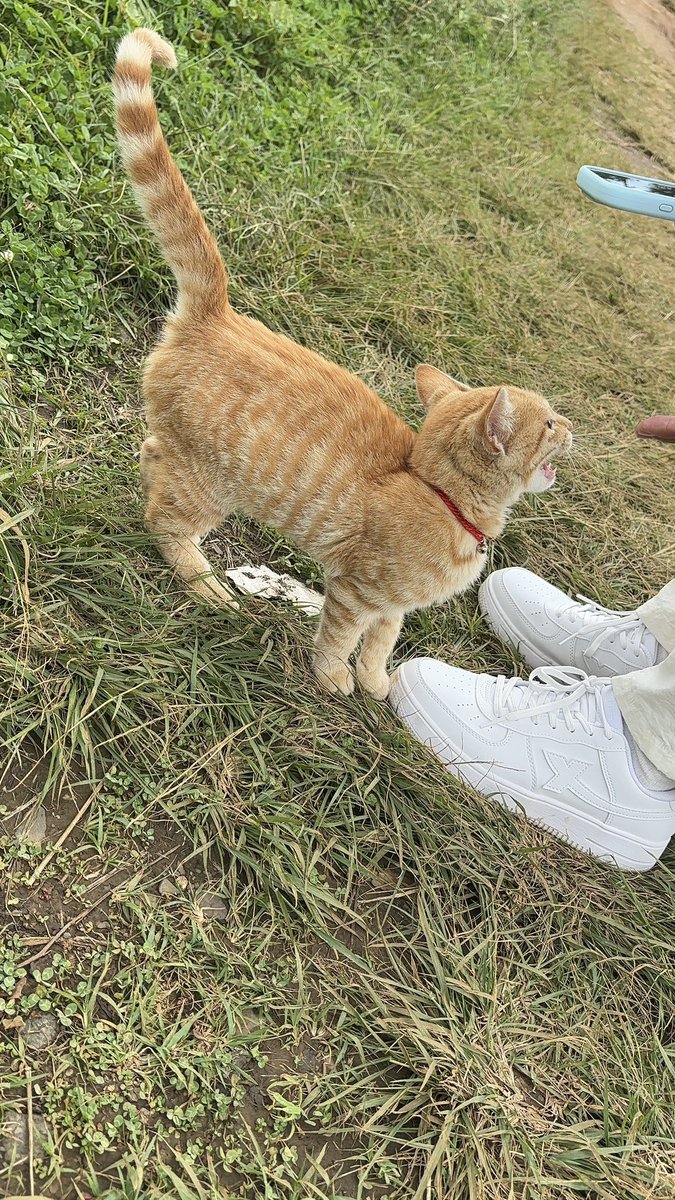 3syayan's tweet photo. 去云南遇到的小茂密🥴 https://t.co/s7mJbSkeV2