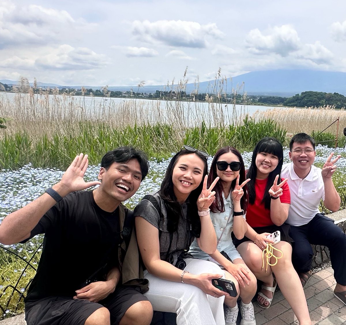MiraclesMakers's tweet photo. ネモフィラ🌱 https://t.co/6voa4rANLP