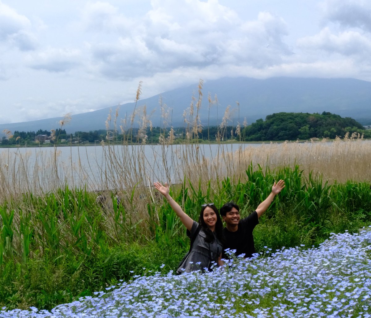 MiraclesMakers's tweet photo. ネモフィラ🌱 https://t.co/6voa4rANLP