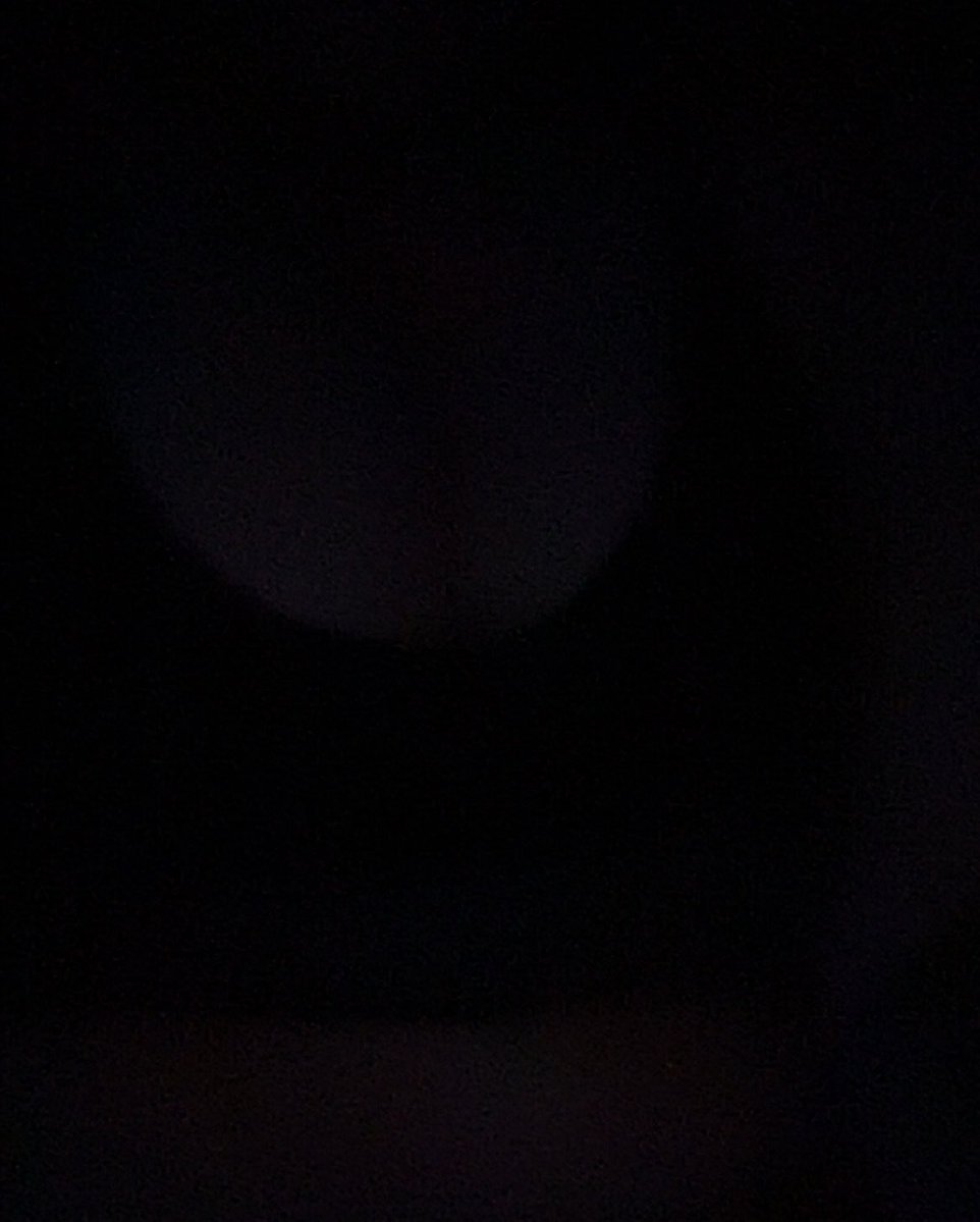 shadow 🌙 tweet media