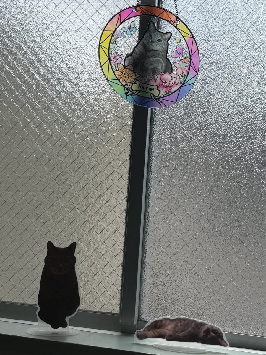 nozapiro's tweet photo. ���ミたんグッズを作ってみた
もっと明度あげた写真にしないとあれだねー
マグネットとかも作ったから冷蔵庫に貼ってんだ！ https://t.co/QIBSrNU8IV
