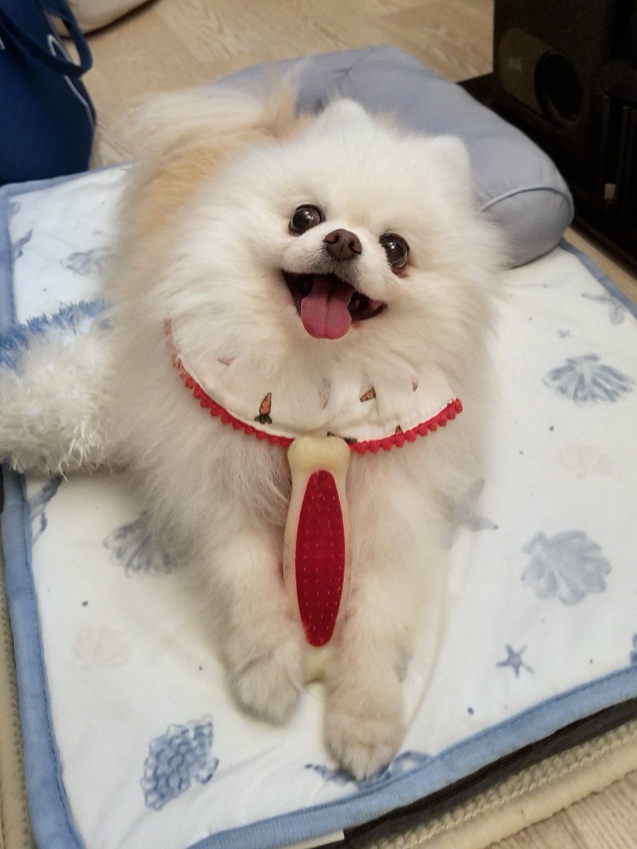 大吉