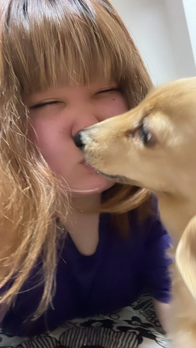 ぐちてゃ tweet media